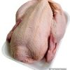 Whole chicken